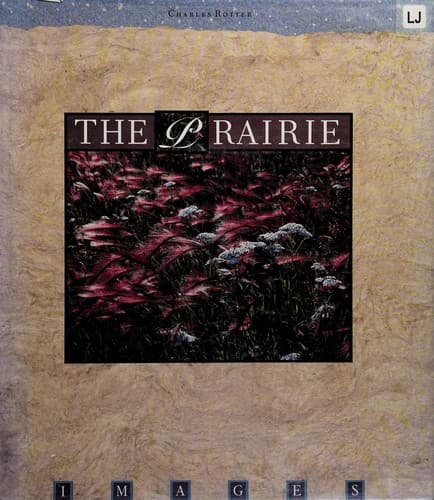 Cover image for The prairie