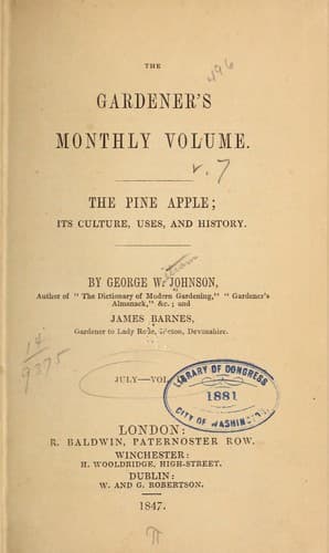 The pine apple