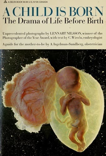 Cover image for CHILD IS BORN, A