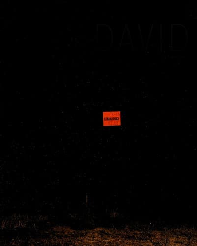 Cover image for David Claerbout