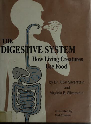 Cover image for The digestive system