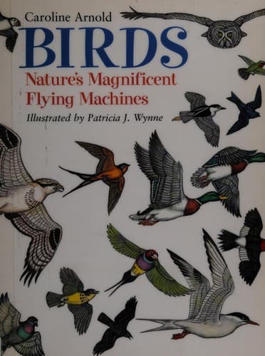 Cover image for Birds