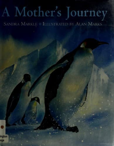 Cover image for A Mother's Journey