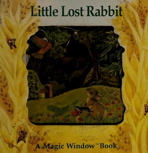 Cover image for Little lost rabbit