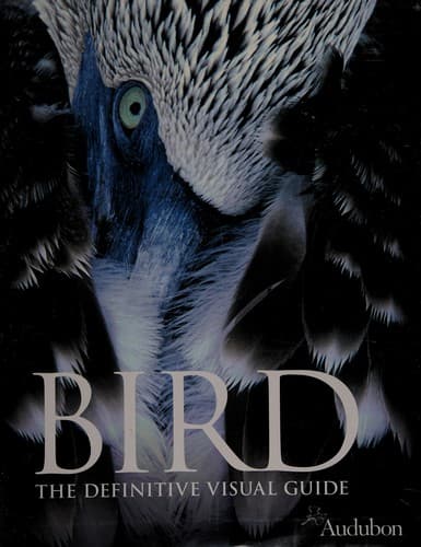 Cover image for Bird