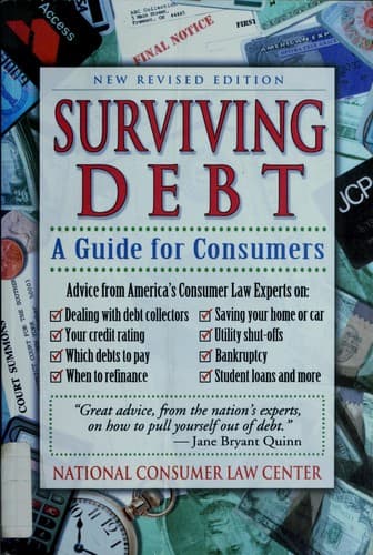 Cover image for Surviving debt