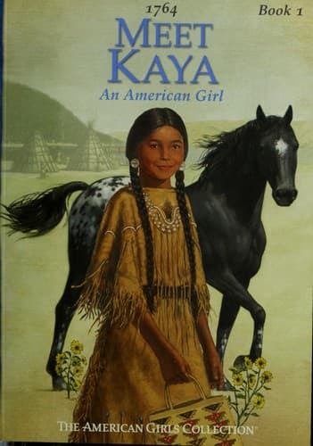 Cover image for Meet Kaya