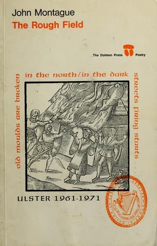 Cover image for The rough field