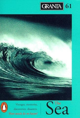 Cover image for The Sea (Granta (Viking))