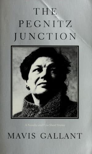 Cover image for The Pegnitz Junction