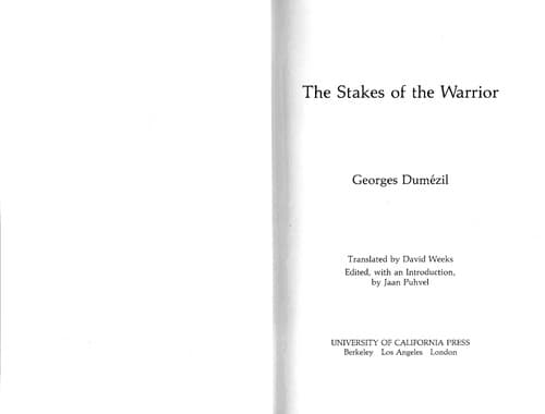 Cover image for The stakes of the warrior