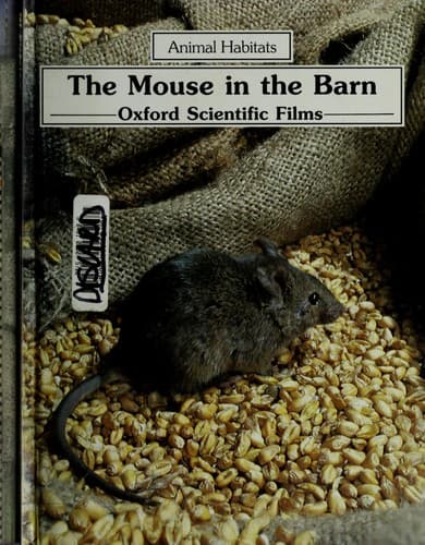 Cover image for The mouse in the barn