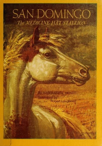 Cover image for San Domingo