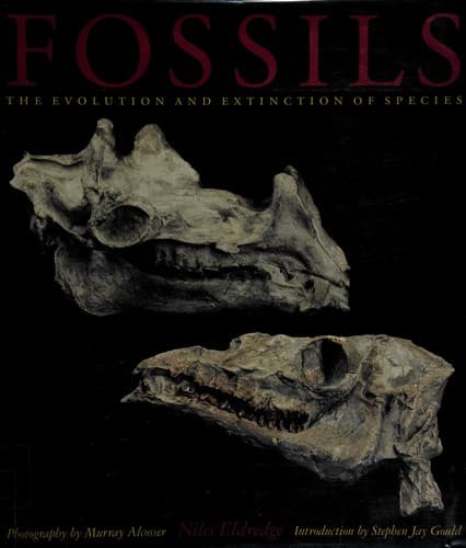 Cover image for Fossils