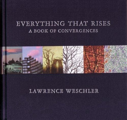 Cover image for Everything That Rises
