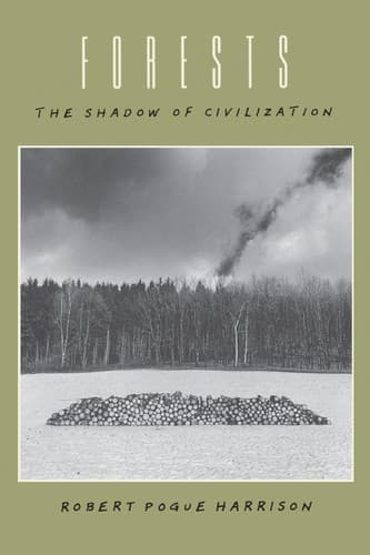 Cover image for Forests