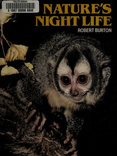 Cover image for Nature's night life