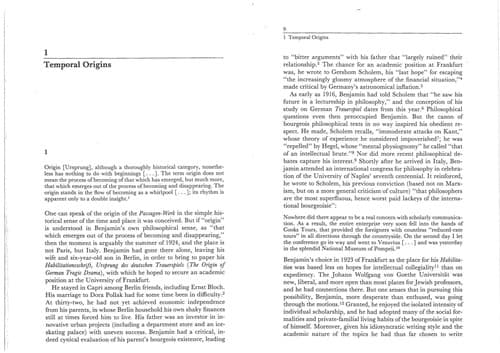 Cover image for The dialectics of seeing