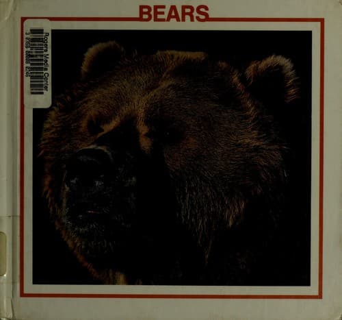 Cover image for Bears