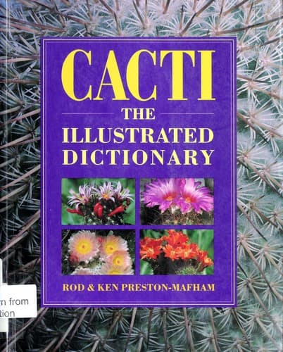 Cover image for Cacti