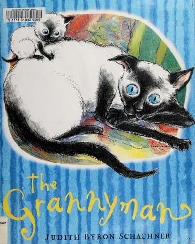 Cover image for The Grannyman