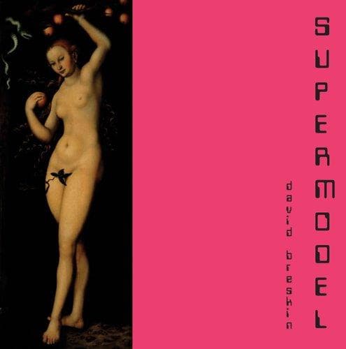 Cover image for Supermodel