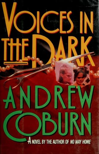 Cover image for Voices in the dark
