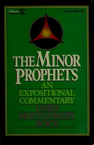 Cover image for The Minor Prophets
