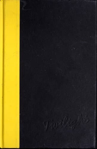Cover image for The Mediator