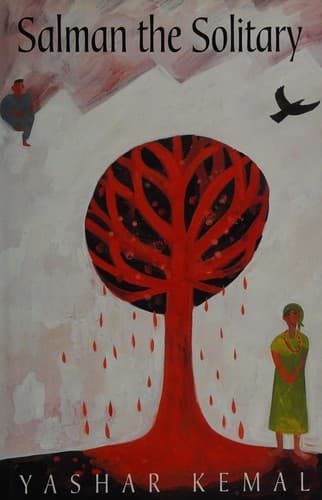 Cover image for Salman the solitary