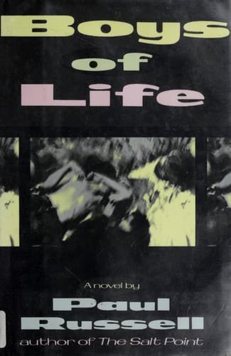 Cover image for Boys of life