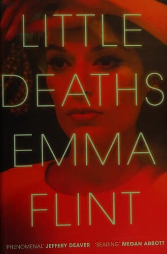 Cover image for Little deaths