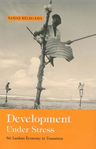 Cover image for Development under stress