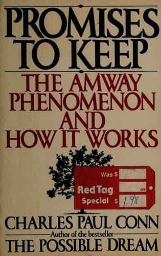 Cover image for Promises to keep