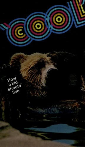 Cover image for Cool