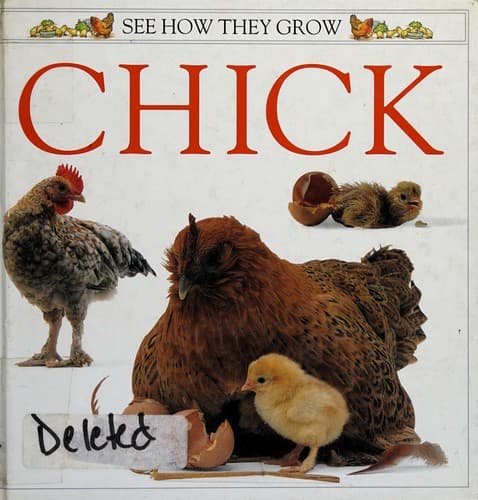 Cover image for Chick