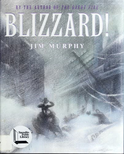 Cover image for Blizzard