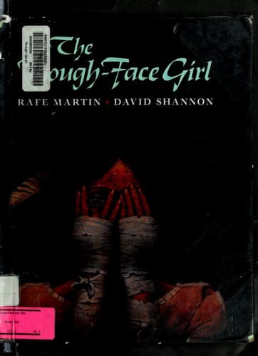 Cover image for The rough-face girl