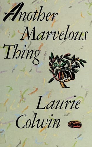 Cover image for Another marvelous thing