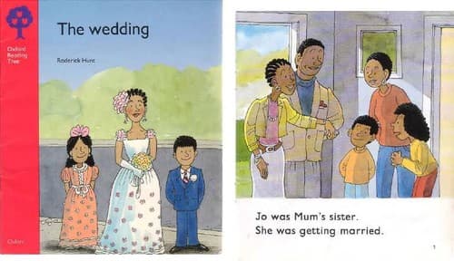 Cover image for The wedding