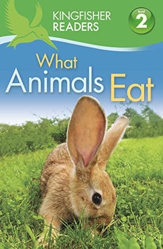 Cover image for What Animals Eat
