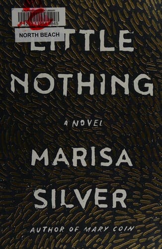 Cover image for Little nothing