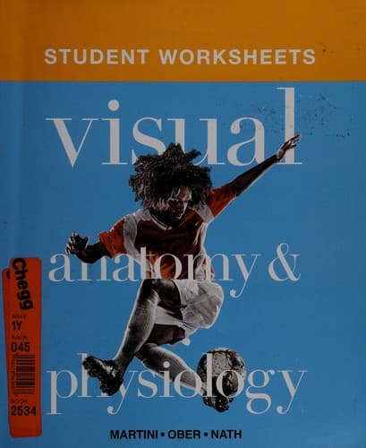 Cover image for Visual anatomy & physiology