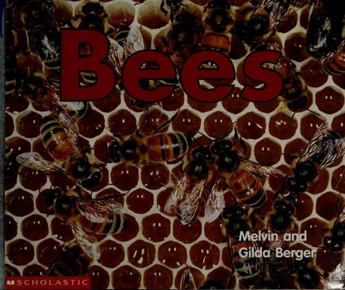 Cover image for Bees (Time-to-Discover)