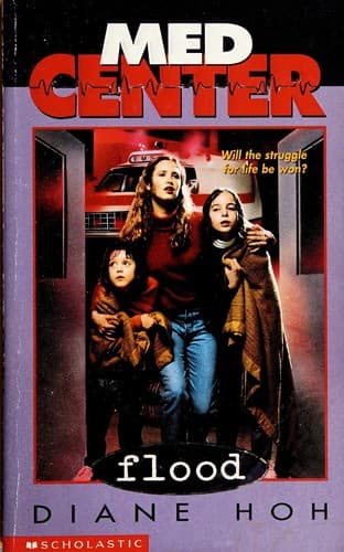 Cover image for Flood
