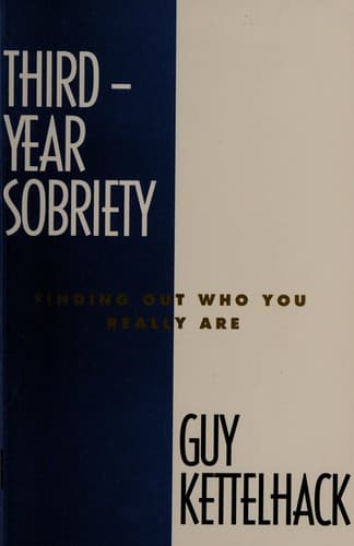 Cover image for Third-year sobriety