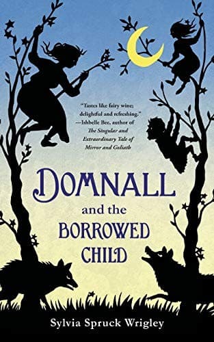 Cover image for Domnall And The Borrowed Child