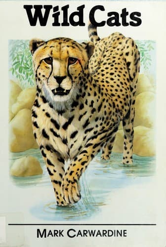 Cover image for Wild Cats