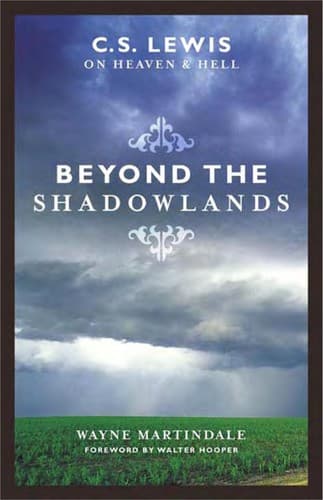 Cover image for Beyond the shadowlands