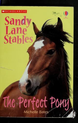 Cover image for The perfect pony